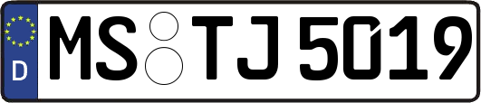 MS-TJ5019