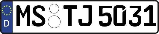 MS-TJ5031