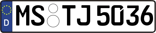 MS-TJ5036