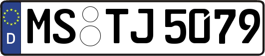 MS-TJ5079
