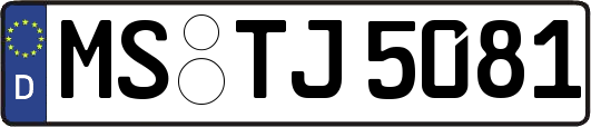 MS-TJ5081