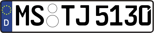 MS-TJ5130