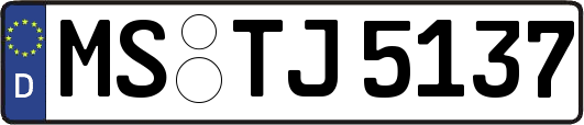 MS-TJ5137