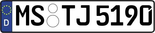 MS-TJ5190