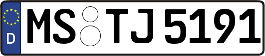 MS-TJ5191