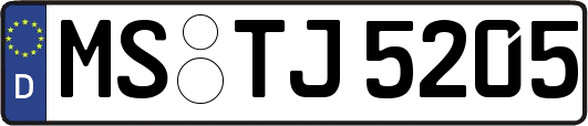 MS-TJ5205