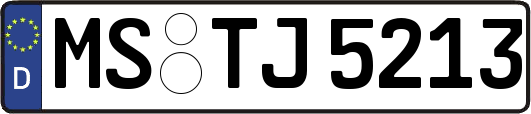 MS-TJ5213
