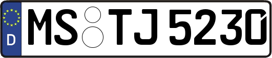 MS-TJ5230