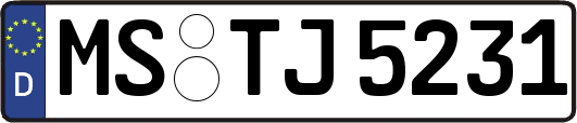 MS-TJ5231