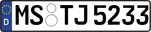 MS-TJ5233