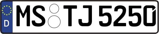 MS-TJ5250