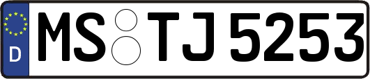MS-TJ5253