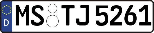 MS-TJ5261