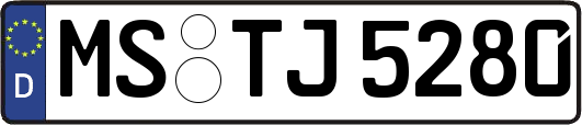 MS-TJ5280