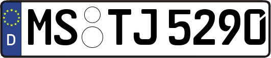 MS-TJ5290