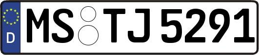 MS-TJ5291