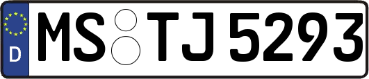MS-TJ5293