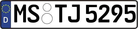 MS-TJ5295