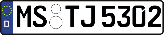 MS-TJ5302