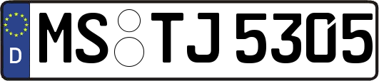 MS-TJ5305