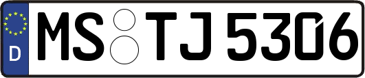 MS-TJ5306