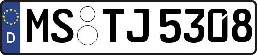 MS-TJ5308