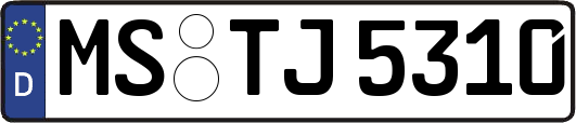 MS-TJ5310