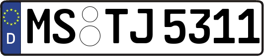 MS-TJ5311
