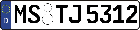 MS-TJ5312