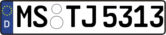 MS-TJ5313