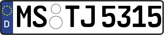 MS-TJ5315