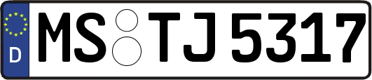 MS-TJ5317
