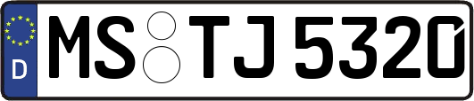 MS-TJ5320