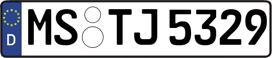 MS-TJ5329