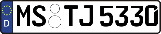 MS-TJ5330