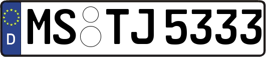 MS-TJ5333