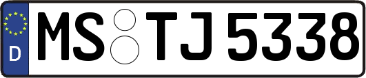 MS-TJ5338