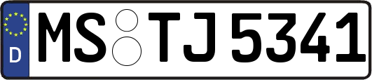 MS-TJ5341