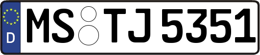 MS-TJ5351