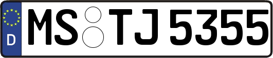 MS-TJ5355