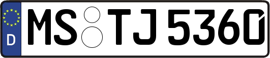 MS-TJ5360