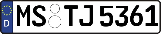 MS-TJ5361