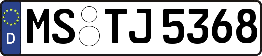MS-TJ5368