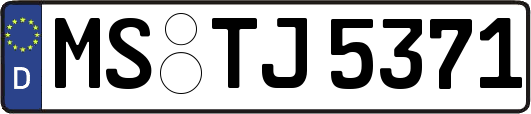 MS-TJ5371