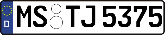 MS-TJ5375