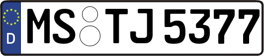 MS-TJ5377