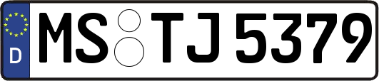 MS-TJ5379