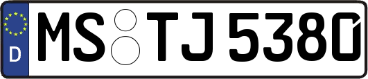MS-TJ5380