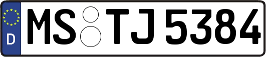 MS-TJ5384