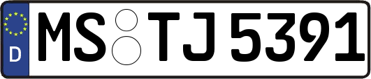 MS-TJ5391